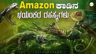  amazon forest secrets of amazon unknown facts vismayavani