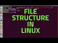 File Structure in Linux File System Operating System Concepts