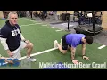 MULTIDIRECTIONAL BEAR CRAWL