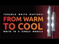 All whites in one module