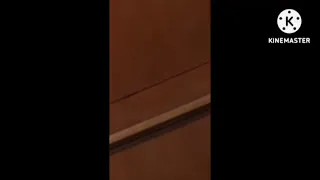 فيديو صافية فرحات تغني راغب علامة ولا يعلى عليك من داخل بيتي في تورينو 