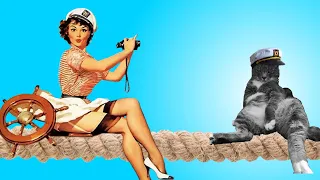 Having a Cat on a Sailboat – Why Morgan Freeman Hates Sailing (E.78 Sailing w/the Litzenbergers)