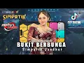 Download Lagu FYP TIKTOK !!!!! BUKIT BERBUNGA - SILVI KUMALASARI ( Cover Simpatik Jandhut Penyu Music )