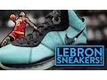 LIFE OF A SNEAKERHEAD 10 Nike LeBrons 1-13 ENTIRE SHOE LINE Fung Bros