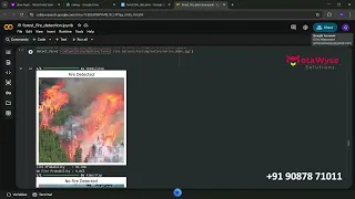 FireNet CNN Real Time Forest Fire Detection with XAI