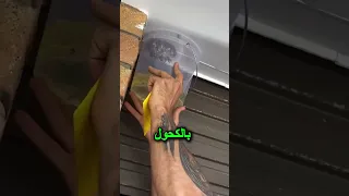 حيلة عبقرية للتخلص من عش الدبابير بدون لسعة     حيلة ذكية  دبابير دندنها