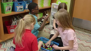 First Grade New Science Curriculum