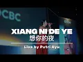 Download Lagu XIANG NI DE YE 想你的夜 by Putri Ayu (Live cover)