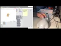 The Finch Robot tour of the sensors