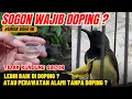 Lagu SOGON TIDAK KUNJUNG GACOR LEBIH BAIK DI DOPING ATAU TETAP PERAWATAN ALAMI❓