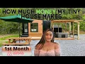 How Much Money My Tiny House Made The First Month Airbnb Incomes and Expenses