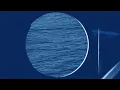 Marcus King, The Marcus King Band, Jesse Welles - Somebody Else (Visualizer)