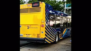 S89-LTD to Blvd Bus Announcements