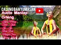 Download Lagu Kijing Miring II Calung Banyumasan ll Batu Raden II Audio poll Mantap  ll KRRECORD KAIA II