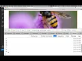 05 Slide Show JS setInterval