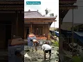 Download Lagu rumah Limasan jawa modern 9mx7m 3 km.tidur