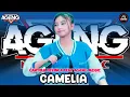 Download Lagu Camelia - Cantika Davinca ft Ageng Music live Madiun