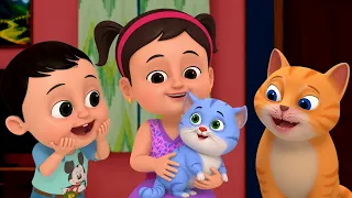 meow meow billi karti more nursery kids hindi rhymes buggy tunes