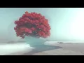 Illusionary Images 166 (Sep 2025) - An Oak Tree's Ocean