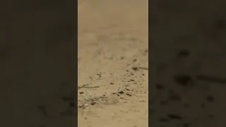 حصريا فيلم عمهم بطولة محمد امام 