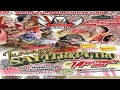 Download Lagu Sang Pelopor 🐴 Jaranan Dangdut Kreasi TURONGGO SAFITRI PUTRO Live Ringinrejo Blitar - PANGESTU AUDIO