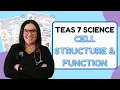 2025 ATI TEAS Science Cell Structure Function Organization Study Guide with Practice Questions