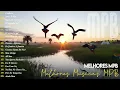 Cássia Eller - O Segundo Sol | MPB Antigas - Música Popular Brasileira - Djavan,Vanessa Da Mata ...