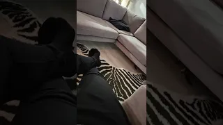                 دندنها