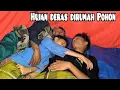 Download Lagu Diguyur hujan deras ketakutan diatas rumah pohon,   Fishing disertai hujan deras tengah malam