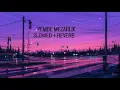 Model - Pembe Mezarlık ( SLOWED + REVERB )