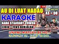 Download Lagu KARAOKE AU DI LUAT NADAO -  NADA STANDART COWOK - AS = DO