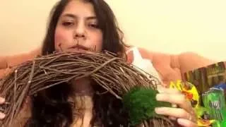 Party Prep Where The Wild Things Are Update