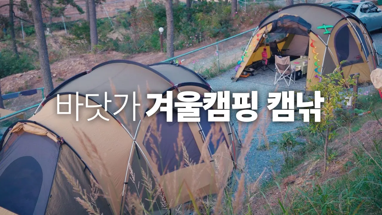 겨울캠핑 캠낚! 초보낚시꾼의 고군분투 캠핑낚시! 불멍의 위로, 옹기종기 캠핑먹방 (태안 둘레길캠핑장) サムネイル