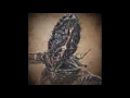 Download Lagu Bloodborne OST Amygdala Extended