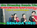 Download Lagu PARUMAEN NAPOGOS - Cipta: Anton Siallagan - Cover Live Hits SENADA TRIO @hangganeriksonchannel8093