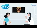 Rayscan Premiere CBCT Advanced 5D Imaging with Ray Face