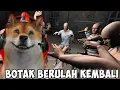 MOMENT KOCAK MAIN BARENG 4 MANUSIA BOTAK! - Hand Simulator Indonesia