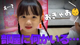 めいたんに新しい家族･･･！？新しいお家で1日ママになってみた！