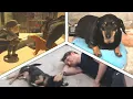 Best of Jerma and Otto