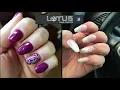Lotus Nail Salon