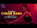 Lagu CIINAN BANA – FAUZANA | DJ Remix Viral TikTok Full bass Remix terpopuler by MIX TONE (lirik)