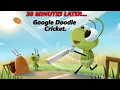 Professional Cricketer in Google Doodle Only Google Doodle Cricket
