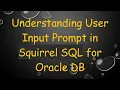 Understanding User Input Prompt in Squirrel SQL for Oracle DB