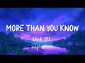 Download Lagu blink-182 - MORE THAN YOU KNOW (Lyrics)