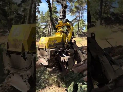 john deere 1270g + h425 | cutting a tree like a pro #forest #harvester #johndeere # #forestry #tree