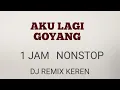 Download Lagu DJ Remix Aku Lagi Goyang..1 jam Nonstop,lagu Dj keren banget..👍👍