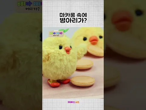 마카롱 속에 병아리가 들어갔다?ㅣ삐아 삐아 어디 가?ㅣKBS 방송