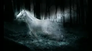 Radiohead You And Whose Army Early Alternate Version With Solo 