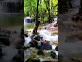Download Lagu Erawan Falls, Thailand – 7-Tiered Jungle Paradise You Must See! #erawan #thailand #scenicviews