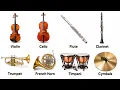 Every Orchestra Instrument Explained in 12 Minutes